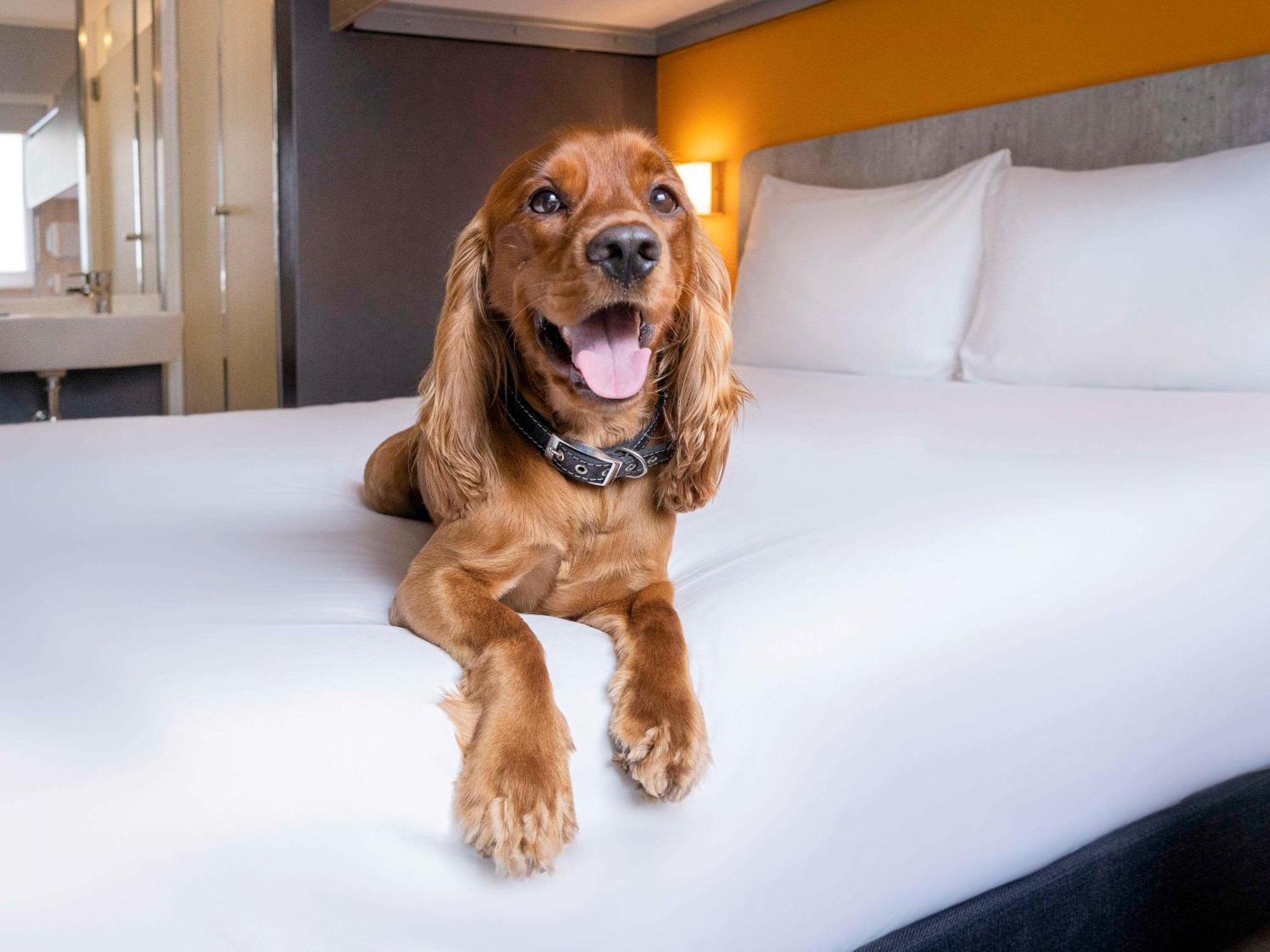 Ibis Budget Lima Miraflores Экстерьер фото